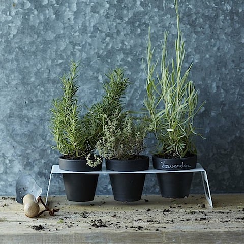 West Elm Chalkboard Planter Set with Holder