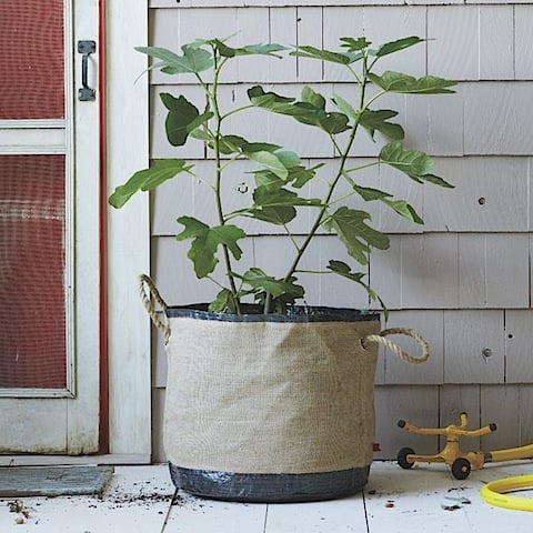 West Elm Bag Planters