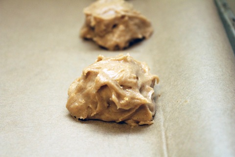 Apple-Cider-Caramel-Cookies-Cookie-Dough.jpg