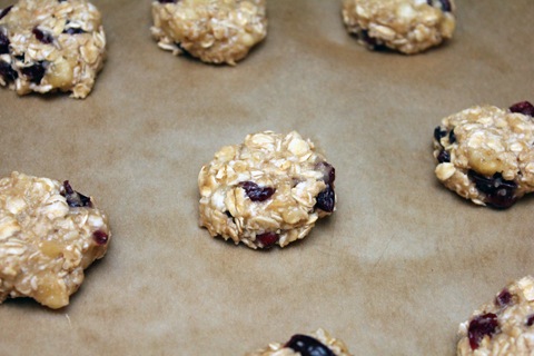 Banana-Maple-Cranberry-Cookies-Smooshed-1.jpg