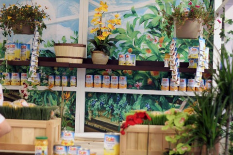 BlogHer-12-Dole-Fruit.jpg