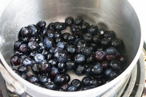 Blueberry Pie Milkshake Powdered Cook.jpg