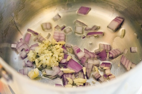 Brussels Sprouts Cranberry Grilled Cheese- Onions Ginger Garlic.jpg