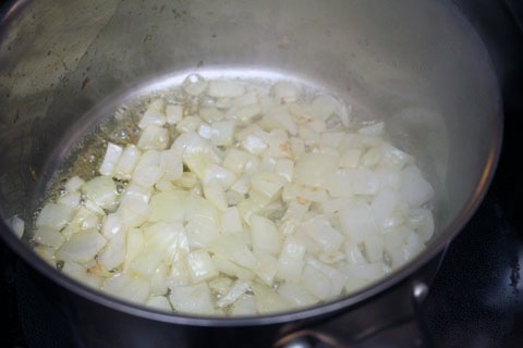 Chipotle-Cashew-Chicken-Onions.jpg