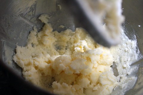 Confetti-Cupcakes-with-Champagne-Custard-Filling-Batter.jpg