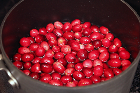 Cranberry-Mojito-Cranberries.jpg