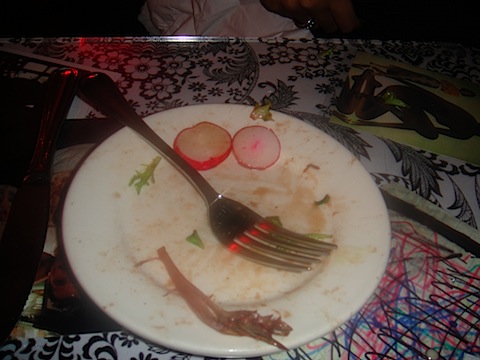 DSC01326.JPG