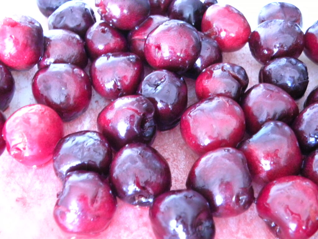 DSCN0183 DSCN0183
