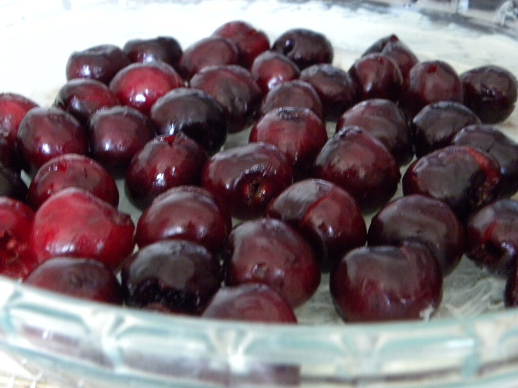 DSCN0218 DSCN0218