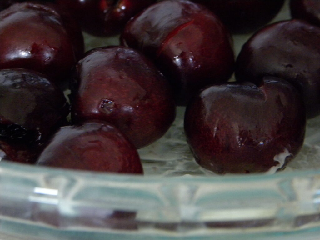 DSCN0219 DSCN0219