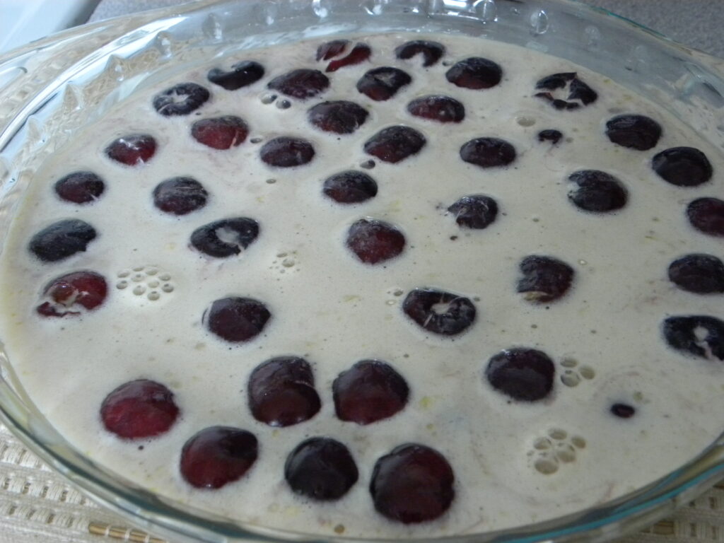DSCN0229 DSCN0229