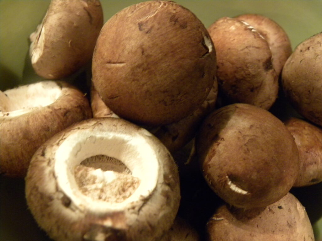 mushrooms mushrooms