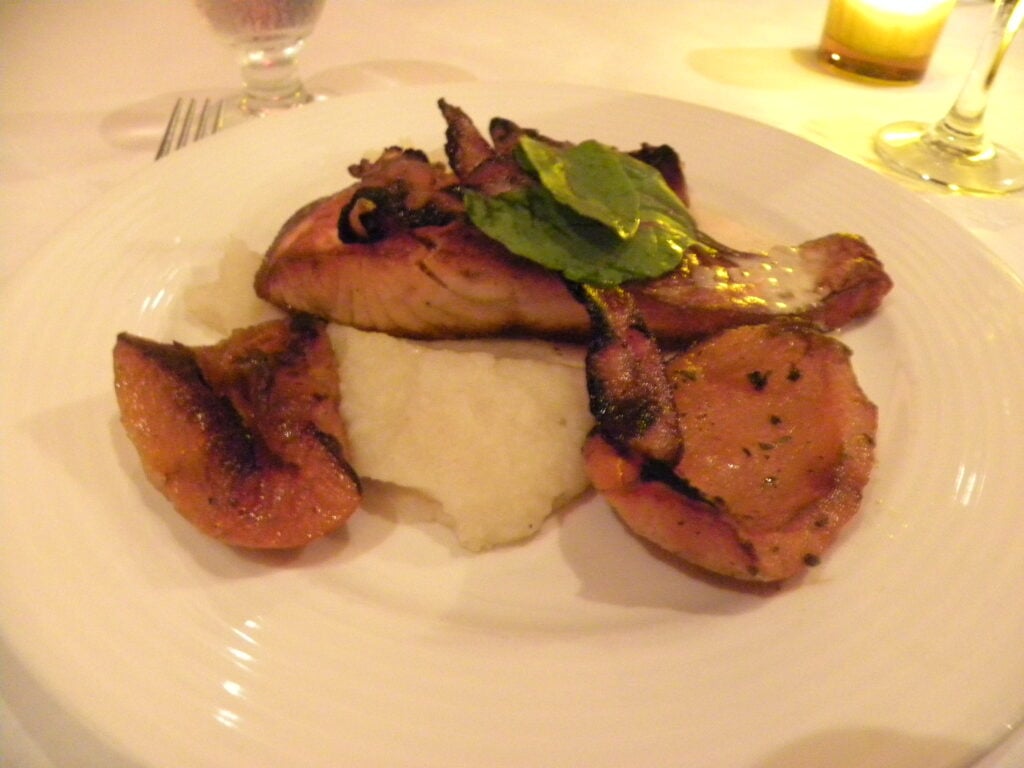 salmon salmon