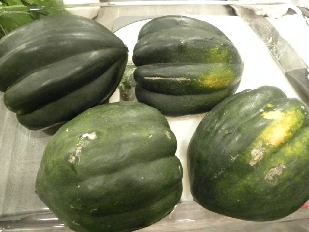 acorn squash
