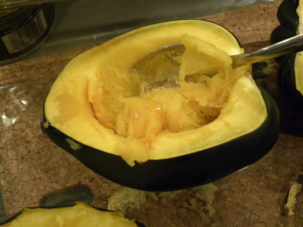 acorn squash