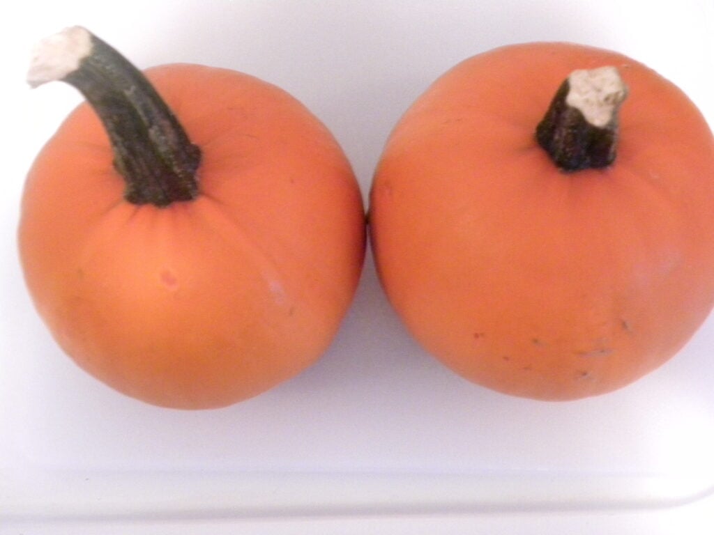 DSCN1986 DSCN1986