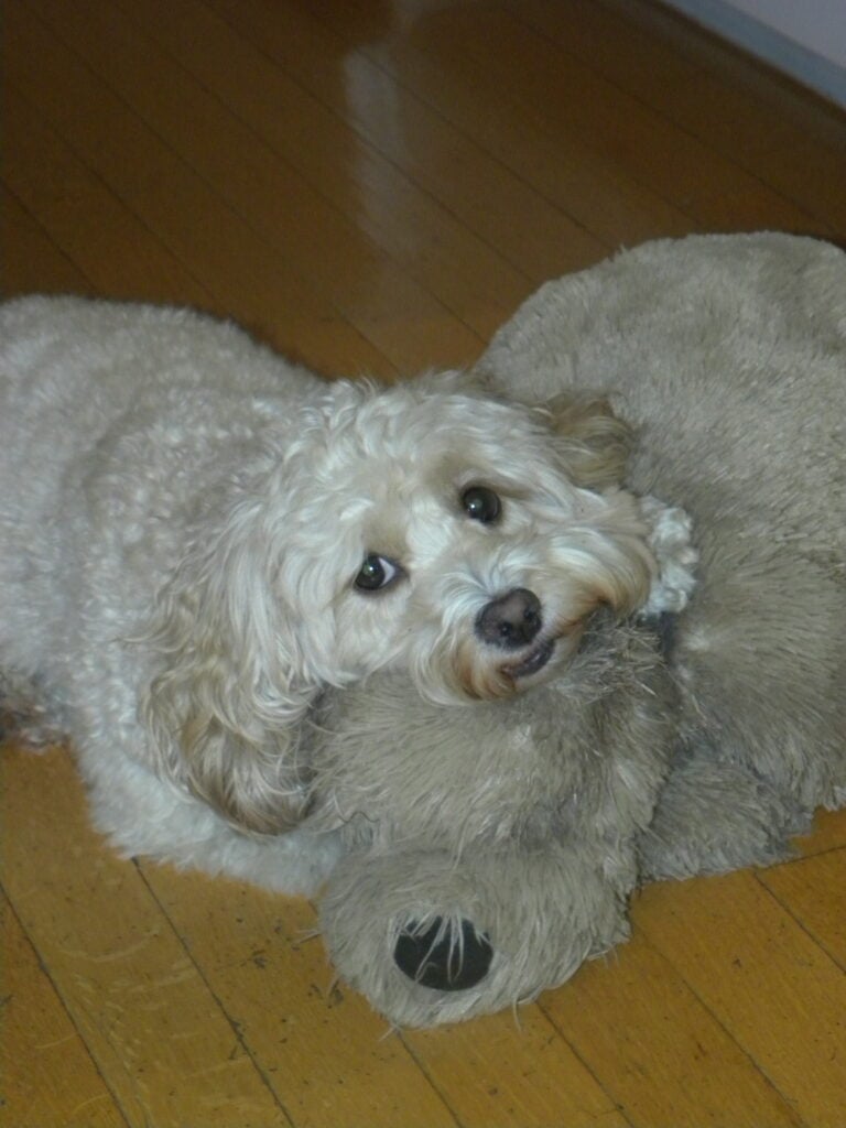 DSCN2056 DSCN2056