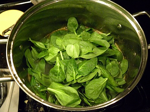 DSCN2491.JPG