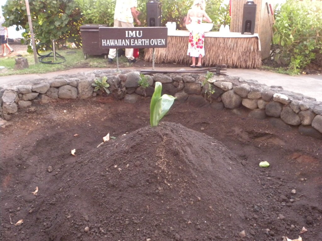 DSCN3067 DSCN3067