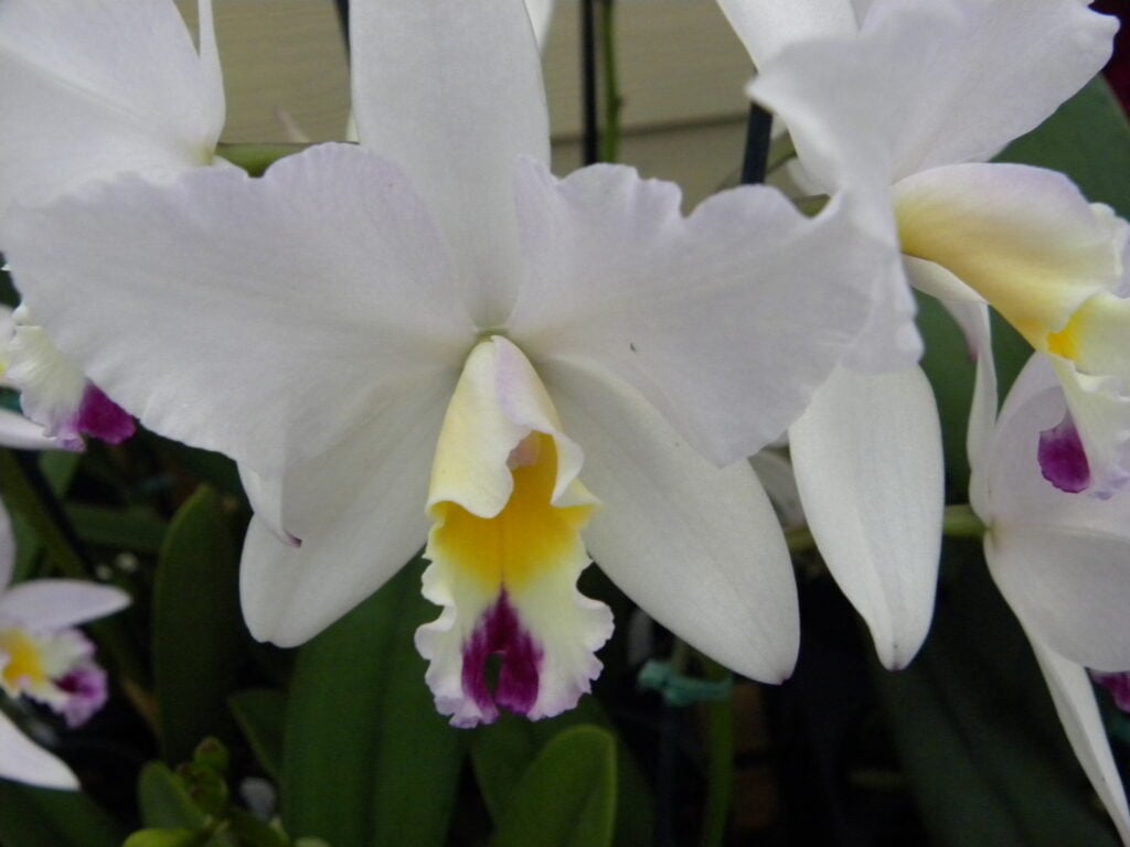 DSCN3412
