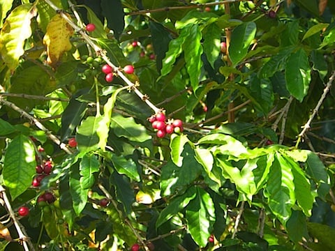DSCN3593