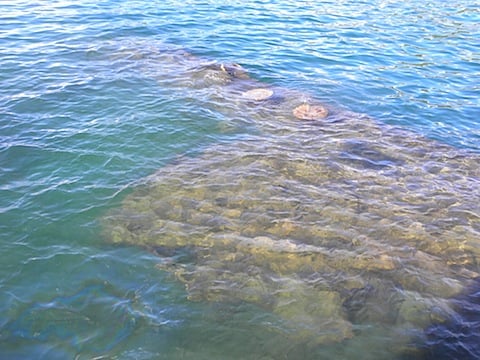 DSCN3678