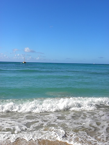 DSCN3792