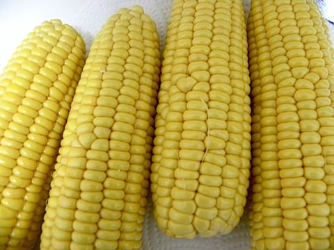 DSCN3883.JPG