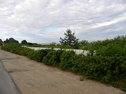DSCN4053.JPG