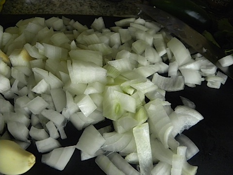 DSCN5232