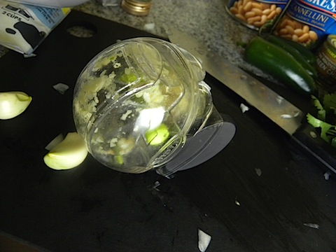 DSCN5235