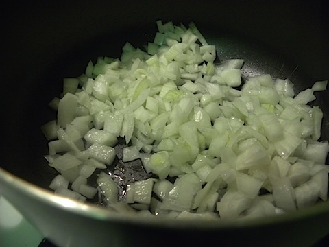 DSCN5237