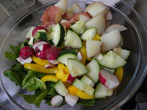 DSCN7151
