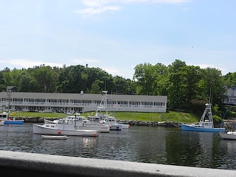 DSCN7886