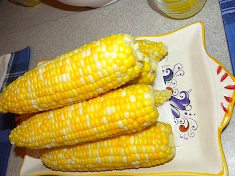 DSCN7928