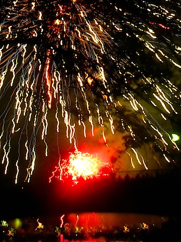 DSCN8629