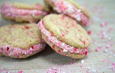 Egg Nog Peppermint Cookies 6.jpg