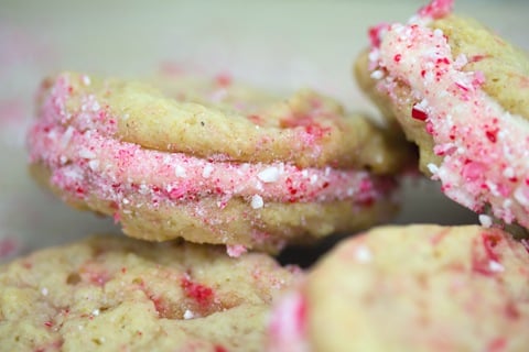 Egg Nog Peppermint Cookies 8.jpg
