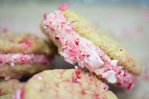 Egg Nog Peppermint Cookies 9.jpg