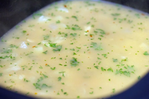 Fennel Mussels Broth Parsley.jpg