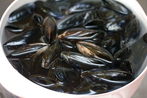 Fennel Mussels Washed.jpg
