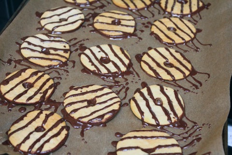 Fudge-Stripes-Cookies-Chocolate-Stripes.jpg