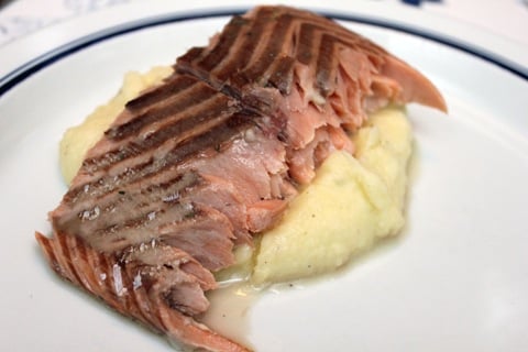 Ginger-Honey-Frozen-Yogurt-Salmon.jpg