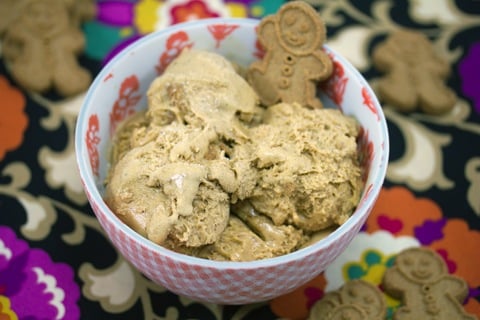 Gingerbread Ice Cream 10.jpg