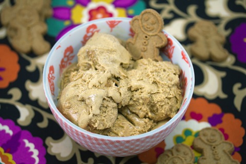 Gingerbread Ice Cream 11.jpg