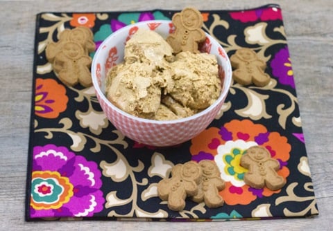 Gingerbread Ice Cream 3.jpg