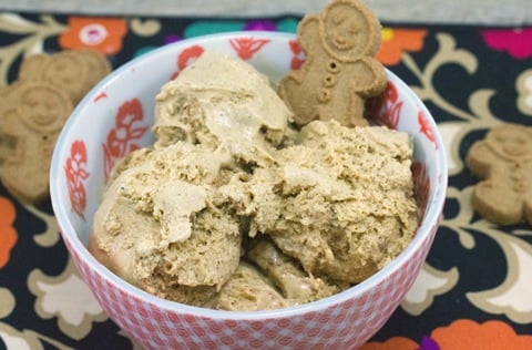 Gingerbread Ice Cream 4.jpg