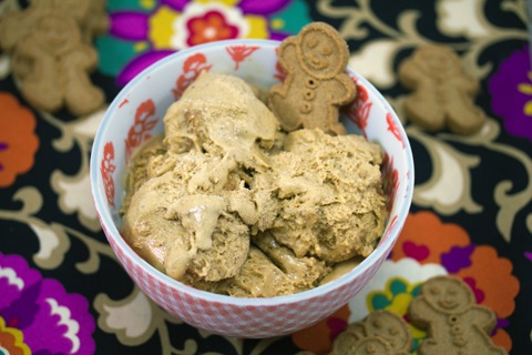 Gingerbread Ice Cream 8.jpg