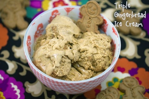Gingerbread Ice Cream.psd