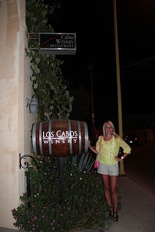 Honeymoon-Los-Cabos-Los-Cabos-Winery-Outside.jpg